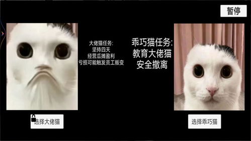 (亲吻猫咪猫咪能明白什么意思吗)亲吻猫咪游戏：在猫猫惊魂的奇幻世界中与喵星人展开冒险！