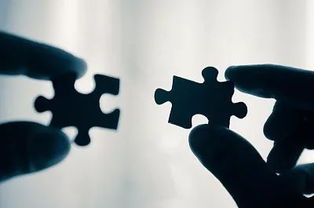 (因果的理解)探讨因果全文的不同维度及其在生活中的重要性和影响力