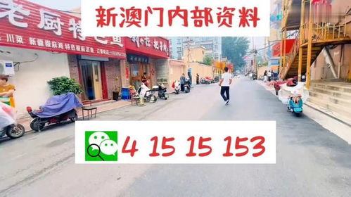 2024新澳天天开彩正版资料|专家解答解释落实_冒险版Eleme.8.254