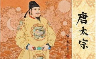 澳门最精准免费资料刘伯温|专家解答解释落实_参与版.9.976