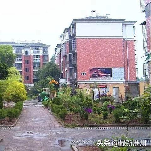 246天天免费资料大全优势|精细分析解释落实_DP.7.351